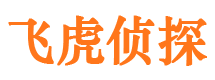 六安婚外情调查取证